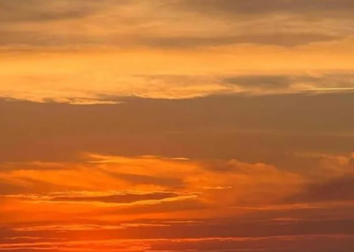 Marina - 10 Min, Od Krynicy Morskiej *